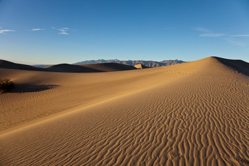 Fototapeta na wymiar Mesquite Flat Sand Dunes, Death Valley National Park,