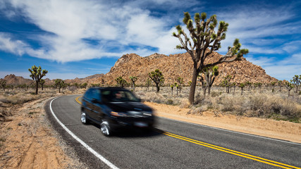 Driving in Joshua Tree National Park