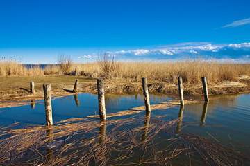 Am Bodden bei Ahrenshoop.