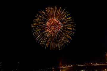 firework in nigth sky