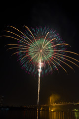 firework in nigth sky