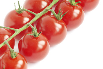 tomato