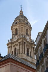 Fototapeta premium Catedral Malaga. Andalucia.