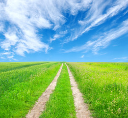 road in field