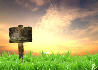 sign with sunset and grass in the background