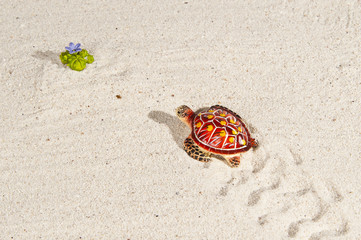 Last food for turtle