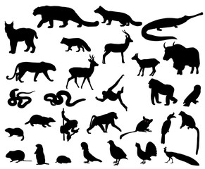 Animals of Asia © Viktoria