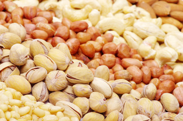 varieties of nuts