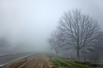 Fototapeta na wymiar Ukraińska droga w czasie mgły.