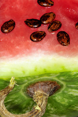 watermelon, sweet, fruit, delicious, vegetarian, natural, seeds,