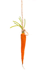 Hanging Carrot on White Background - 31216005