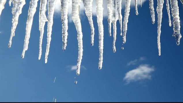 Icicles are melting on a blue background