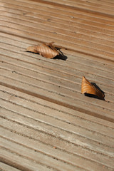 Terrassendielen