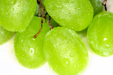 fresh, fruit, grapes, green, vine