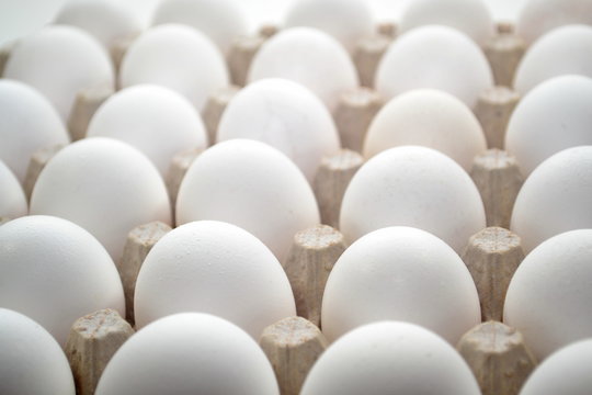 White Eggs in a Carton