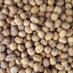 Earth treasures, walnuts