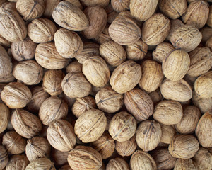 Earth treasures, walnuts