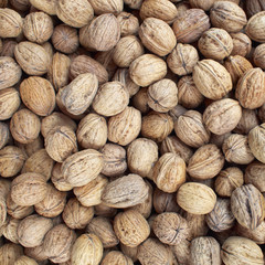 Earth treasures, walnuts