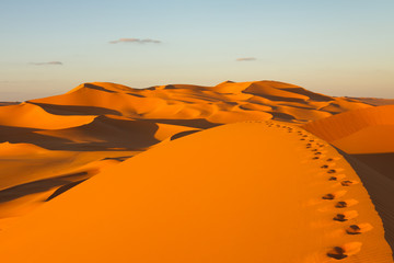 Footprints in the Sand Dunes  - Murzuq Desert, Sahara, Libya