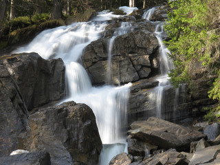 Wasserall im Bergwald