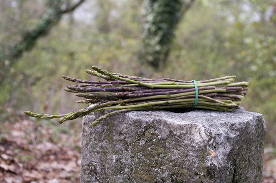 30 Semi Di Asparagi Selvatici - Asparagus Acutifolius Verde Per Orto E Giardino - Foto 8