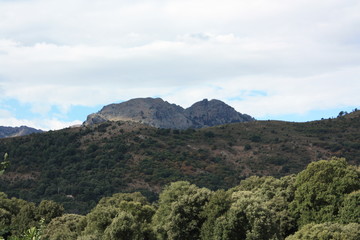 Obraz premium Montagne