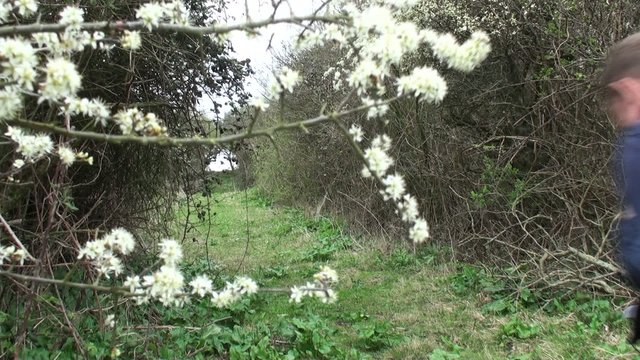 randonneur qui passe