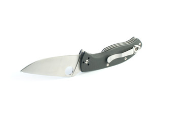 Folding hunting knife