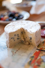 Blue Brie