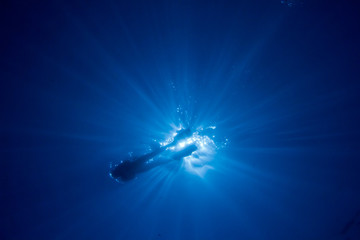 Caribbean Snorkeller