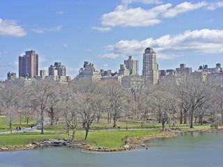 New York 12
