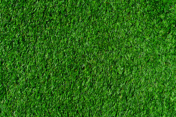 Green Grass