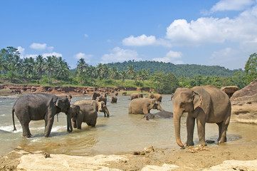 Fototapeta na wymiar Sri Lanka