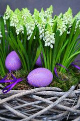 Easter eggs and plants, background