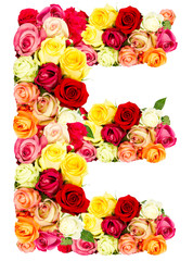 E, roses flower alphabet