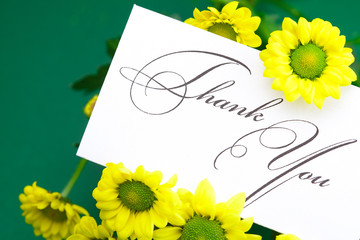 yellow daisy and card signed thank you on green background