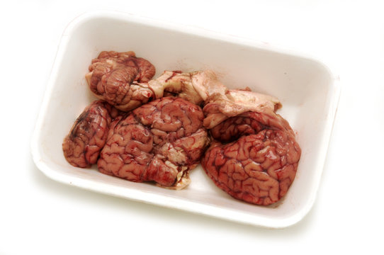 Sesos frescos