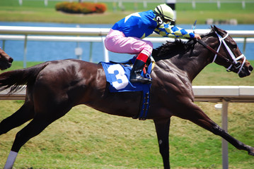 Three Horse Driving in the Stretch
