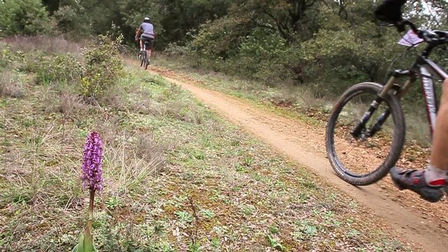 v&eacute;lo