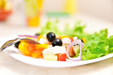Plate of the healthy greek salad