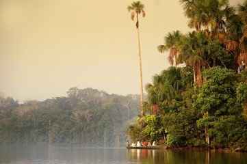 Sandoval See, Amazonas, Peru - obrazy, fototapety, plakaty