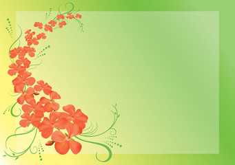 vector green card with pink flowers - eps 10