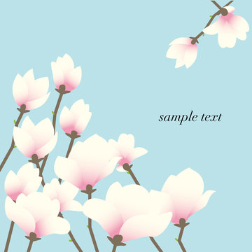 Magnolia Background
