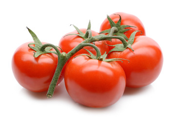 fresh tomatoes on white background