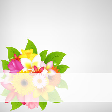 Flower Background