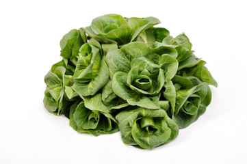 radicchio verdon verdura alimentazione cibo vegetariano