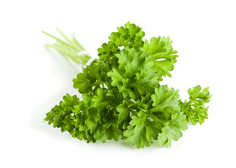 ein Bund krause Petersilie