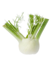 fenouil