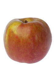 Pomme Belle de Boskoop