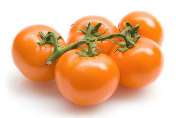 orange tomatoes